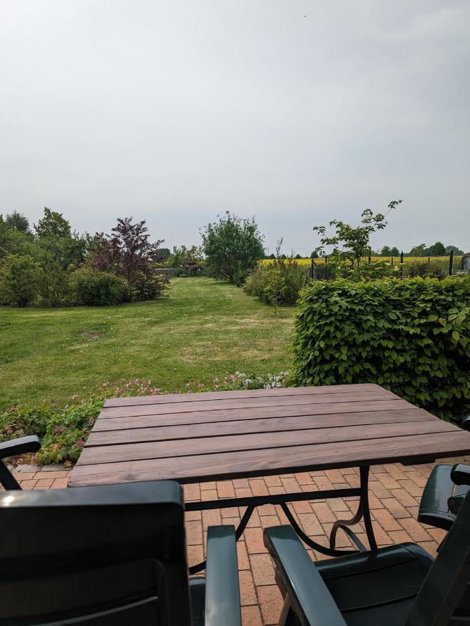 Ferienwohnung Wittenfoerden Wittenforden Dış mekan fotoğraf